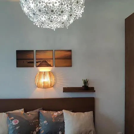 Apartment Zebra