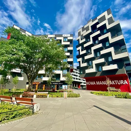 Zebra * ヴロツワフ