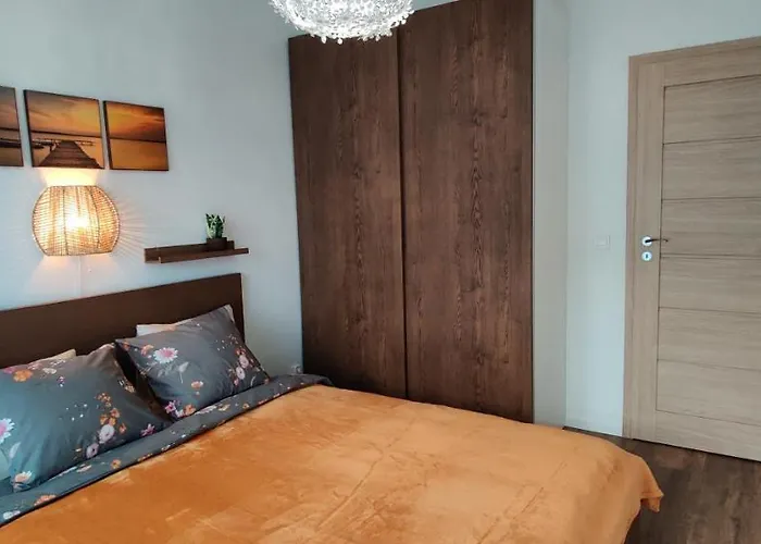 Zebra Вроцлав