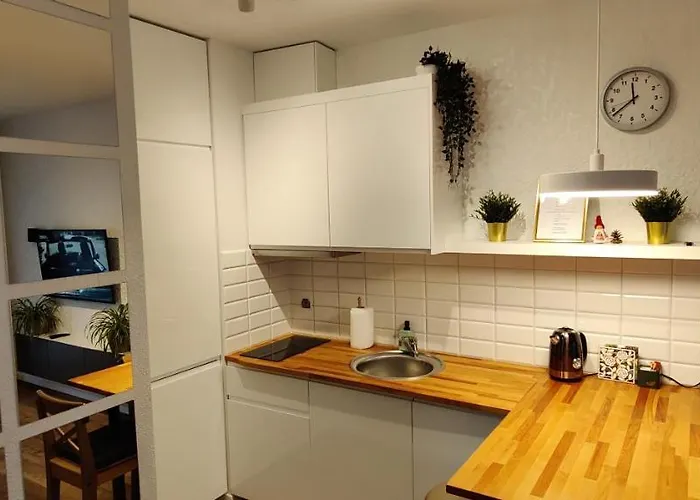 Apartmán Zebra Vratislav