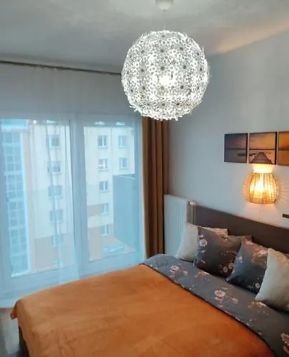 Zebra * Вроцлав