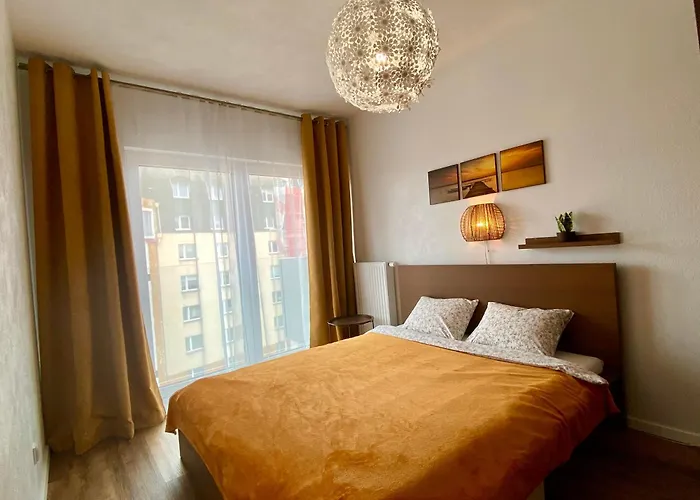 Zebra Вроцлав