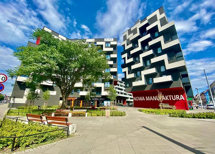 Zebra * Вроцлав